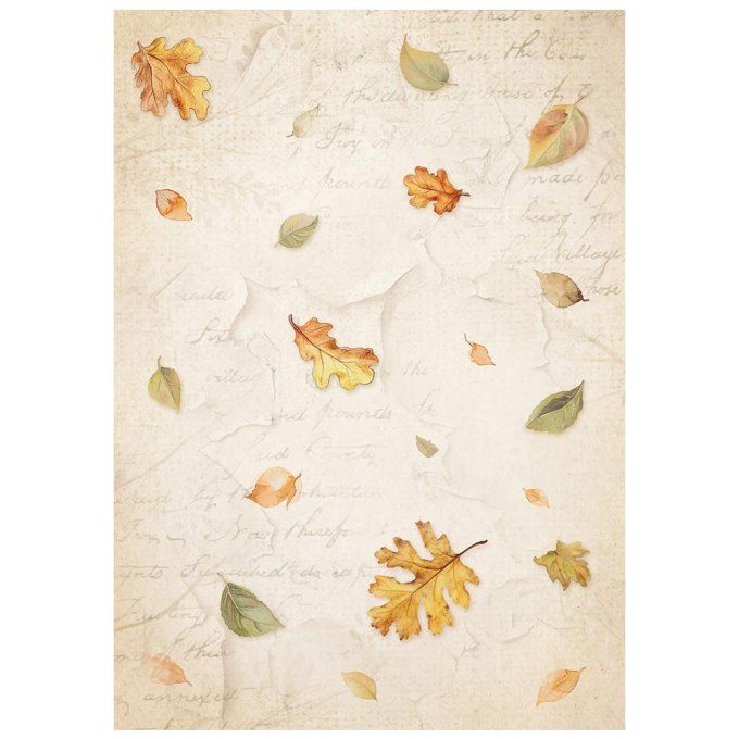 8 Feuilles de riz, Stampéria, Format A6 (10.5x14.8cm) - Whispering woods