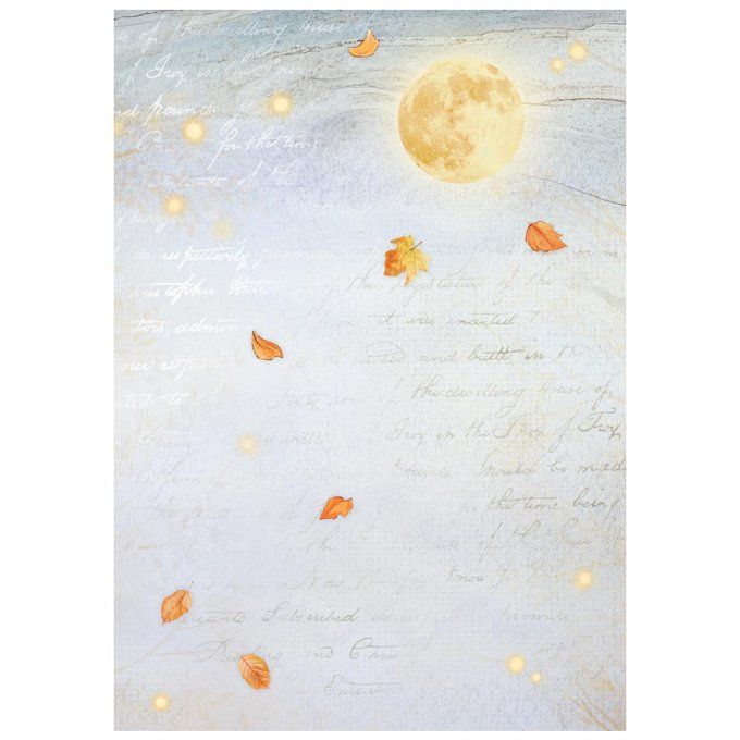 8 Feuilles de riz, Stampéria, Format A6 (10.5x14.8cm) - Whispering woods