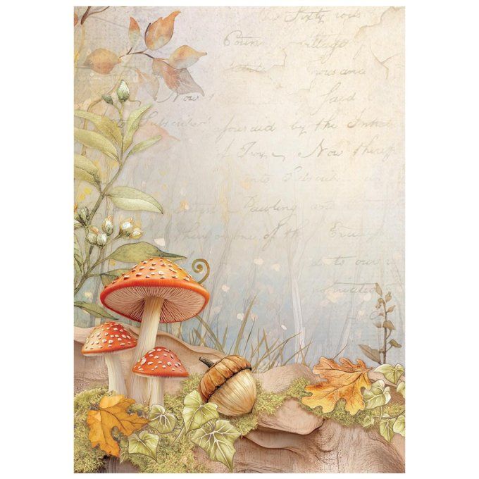 8 Feuilles de riz, Stampéria, Format A6 (10.5x14.8cm) - Whispering woods