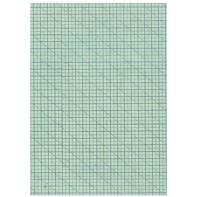 8 Feuilles de riz, Stampéria, Format A6 (10.5x14.8cm) - Daisy Art - Fonds