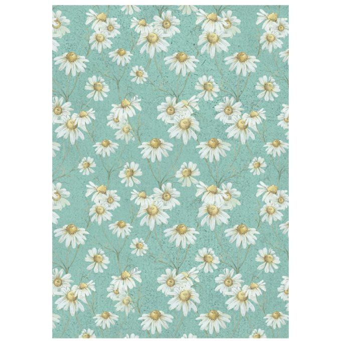 8 Feuilles de riz, Stampéria, Format A6 (10.5x14.8cm) - Daisy Art - Fonds