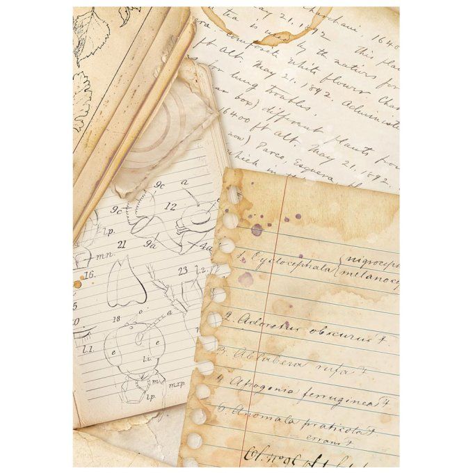 8 Feuilles de riz, Stampéria, Format A6 (10.5x14.8cm) - All around - Fonds