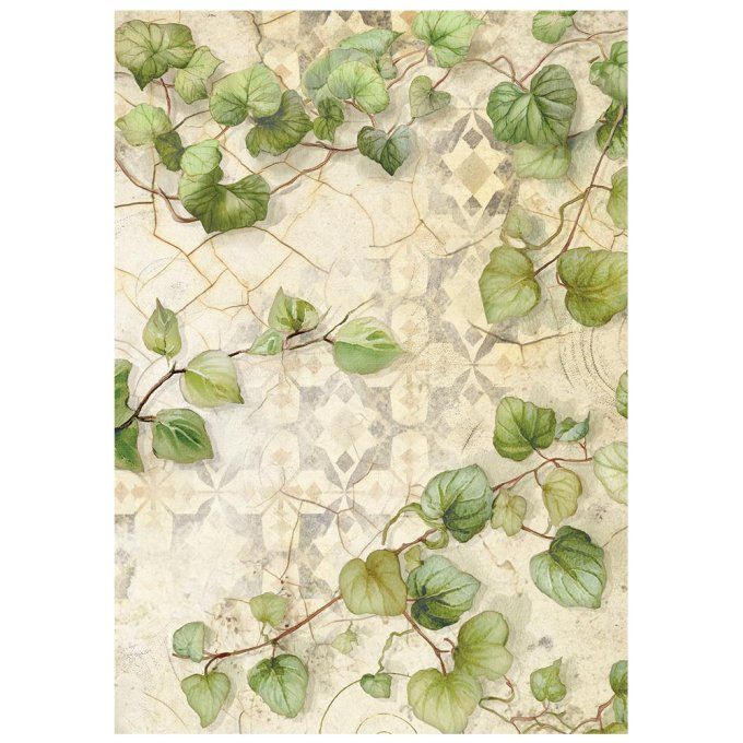 8 Feuilles de riz, Stampéria, Format A6 (10.5x14.8cm) - All around - Fonds