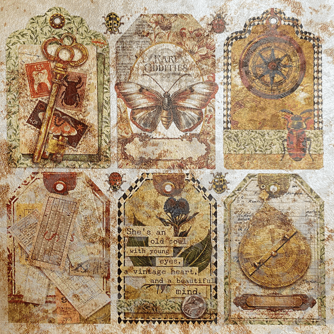 Deluxe paper Ciao Bella, Cabinet of curiosities,  15x15cm - 5 feuilles - 92gsm