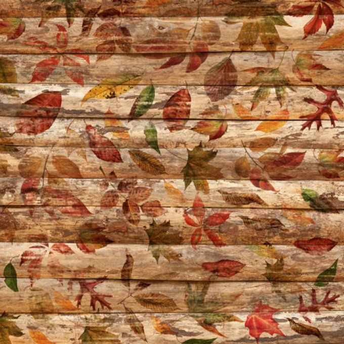 Ensemble de 10 feuilles, 30x30cm, Autumn botanical - Fabrika Decoru - 200g