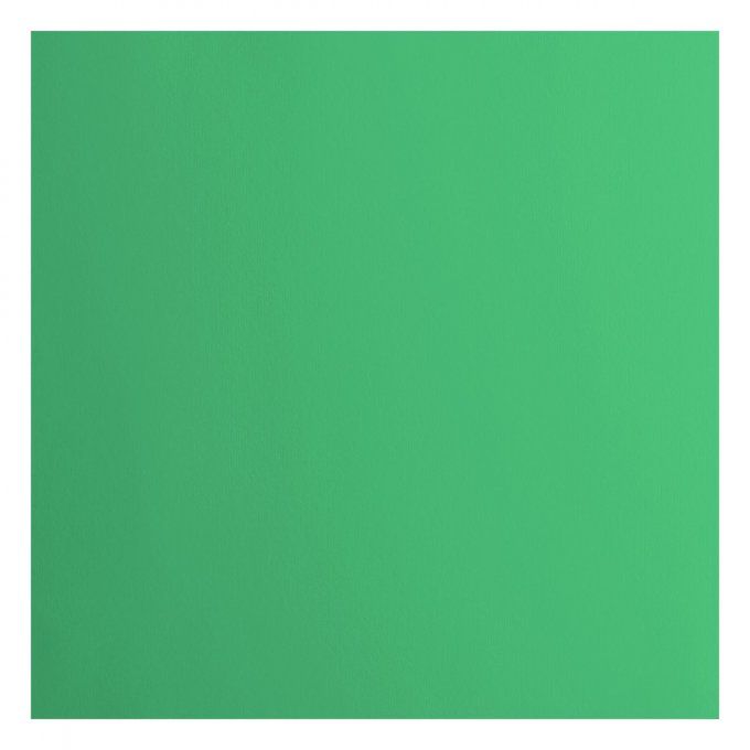 Cardstock Couleur : Emerald, 216g, lot de 20 feuilles - 30x30cm (lisse) 