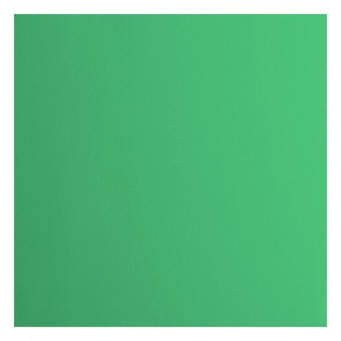 Cardstock Couleur : Emerald, 216g, lot de 20 feuilles - 30x30cm (lisse)