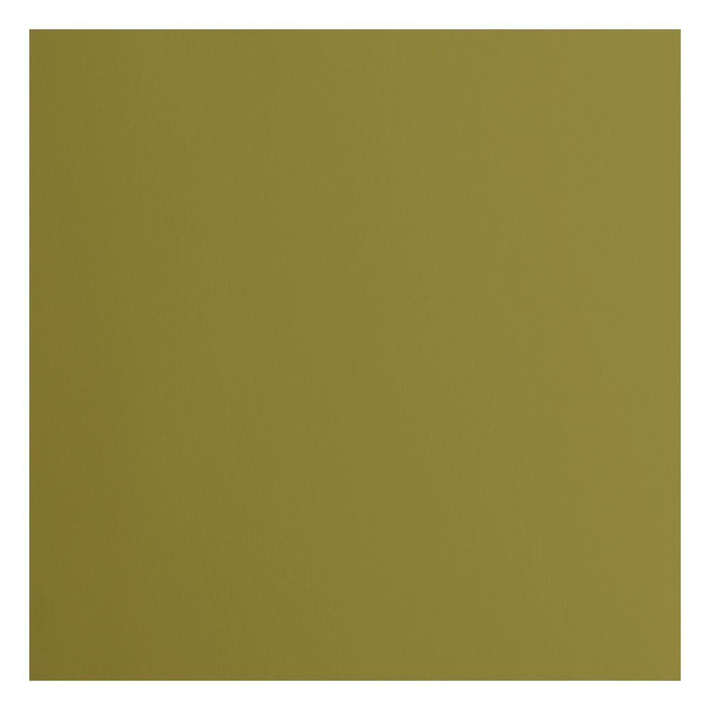 Cardstock Couleur : acacia, 216g, lot de 20 feuilles - 30x30cm (lisse)