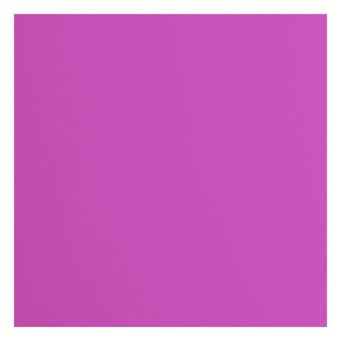 Cardstock Couleur : Plum 216g, lot de 20 feuilles - 30x30cm (lisse)