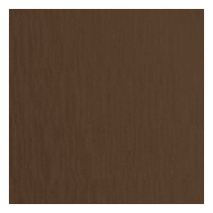 Cardstock Couleur : hazelnut, 216g, lot de 20 feuilles - 30x30cm (texturé)