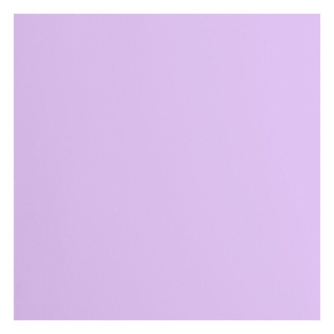 Cardstock Couleur : Hyacinth, 216g, lot de 20 feuilles - 30x30cm (lisse)