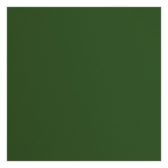 Cardstock Couleur : pine, 216g, lot de 20 feuilles - 30x30cm (texturé)