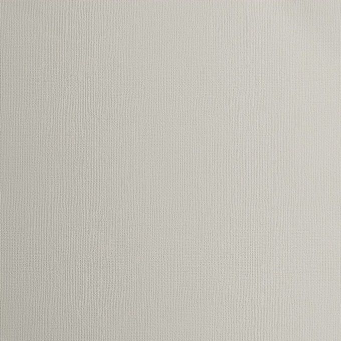 Lot de 10 Feuilles contenant 5 cardstock couleur mouse et 5 papiers pailletés argenté - format A4