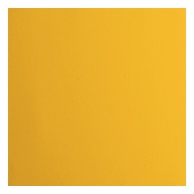 Cardstock Couleur : Honey, 216g, lot de 20 feuilles - 30x30cm (lisse)