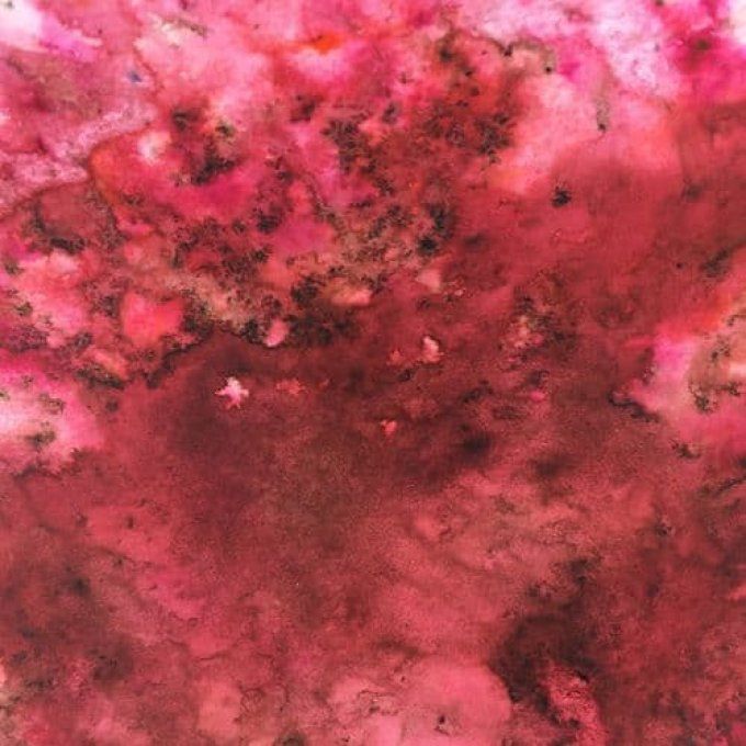 PaperArtsy - Infusion, couleur : Frankly scarlet - 15ml 