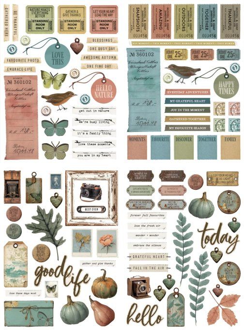 Arden creative studio, Amber ledgers - Laser cuts , 108 images environ