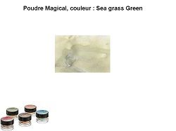 Pigment Magical, Lindy's, couleur Sea grass green