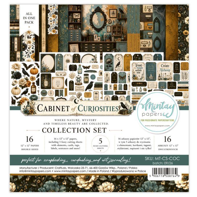 Ensemble de 16 pièces, Collection Cabinet of curiosities