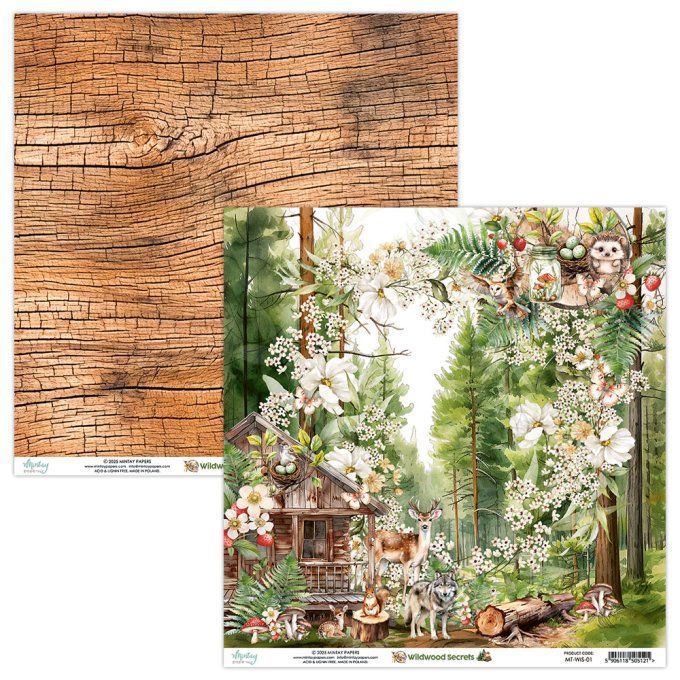 Ensemble de 12 feuilles, format 30.5x30.5cm, Collection Wildwood secrets, motif recto verso, 250g