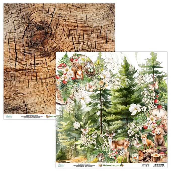 Ensemble de 12 feuilles, format 30.5x30.5cm, Collection Wildwood secrets, motif recto verso, 250g