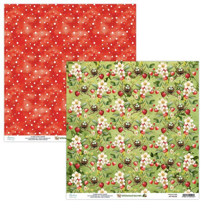 Ensemble de 12 feuilles, format 30.5x30.5cm, Collection Wildwood secrets, motif recto verso, 250g