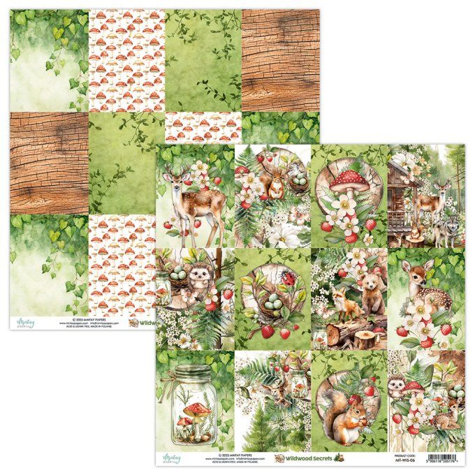Ensemble de 12 feuilles, format 30.5x30.5cm, Collection Wildwood secrets, motif recto verso, 250g