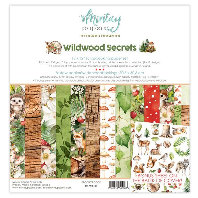 Ensemble de 12 feuilles, format 30.5x30.5cm, Collection Wildwood secrets, motif recto verso, 250g