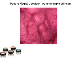 Pigment Magical, Lindy's, couleur Autumn maple crimson