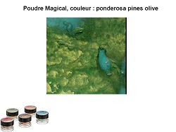 Pigment Magical, Lindy's, couleur Ponderosa pines olive