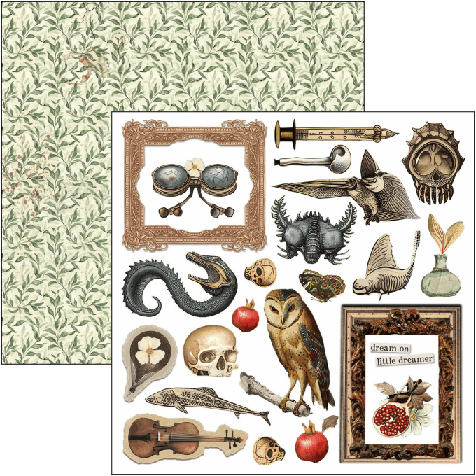 Ciao Bella, Cabinet of Curiosities, Format 15x15cm, 24 feuilles, 190gsm (éléments à découper)