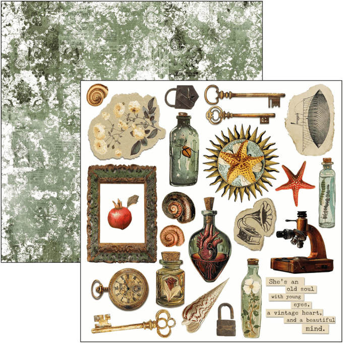 Ciao Bella, Cabinet of Curiosities, Format 15x15cm, 24 feuilles, 190gsm (éléments à découper)