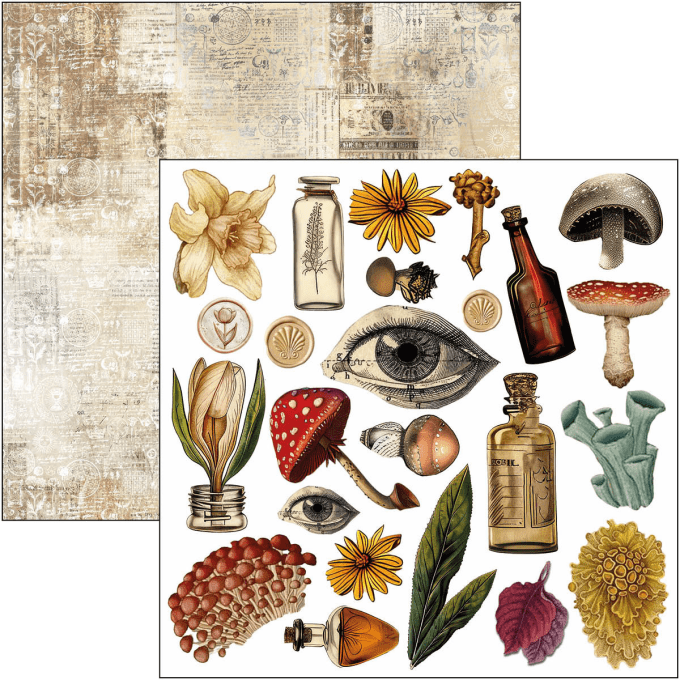 Ciao Bella, Cabinet of Curiosities, Format 15x15cm, 24 feuilles, 190gsm (éléments à découper)