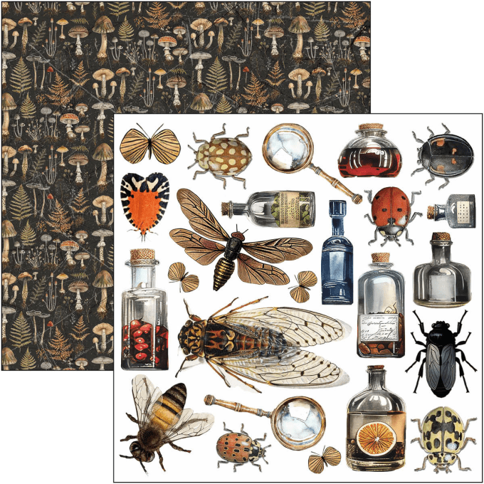 Ciao Bella, Cabinet of Curiosities, Format 15x15cm, 24 feuilles, 190gsm (éléments à découper)