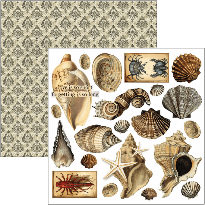 Ciao Bella, Cabinet of Curiosities, Format 15x15cm, 24 feuilles, 190gsm (éléments à découper)