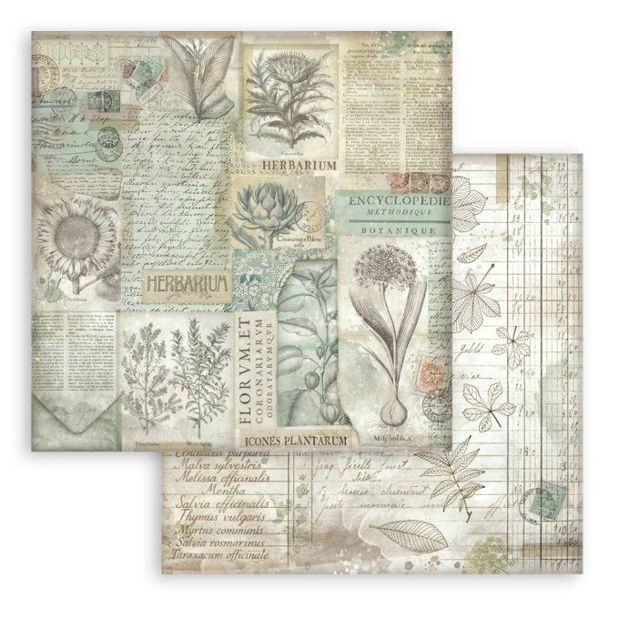 Papier scrapbooking, 30.5x30.5cm, Herbarium Silvae  - Stamperia - 10 feuilles  - background