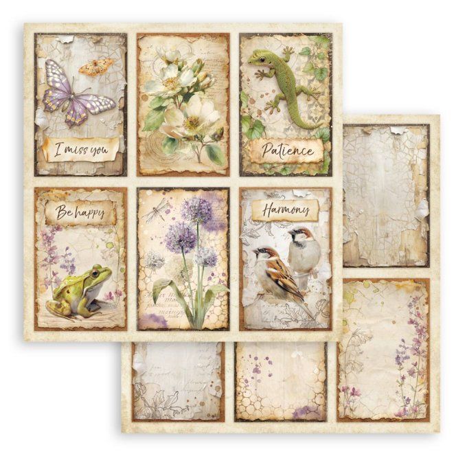 Papier scrapbooking, 10 feuilles, 30x30cm, All around  - Stamperia 
