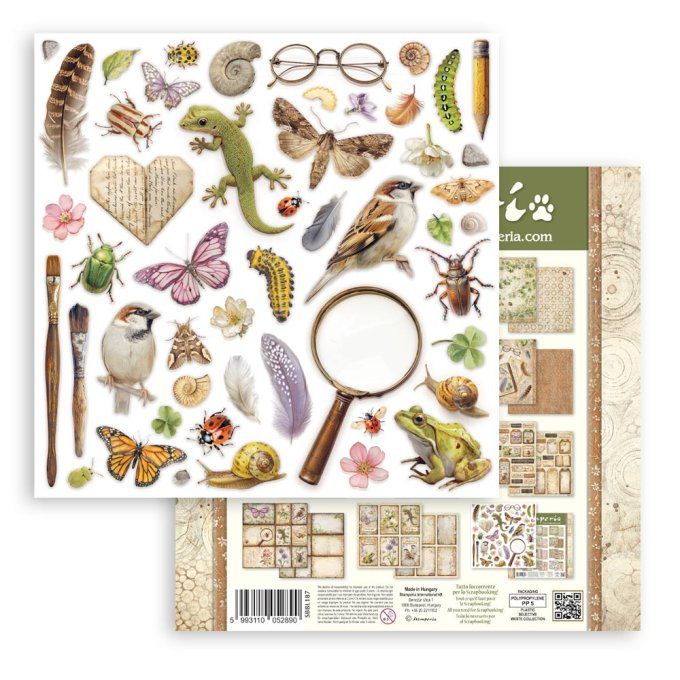 Papier scrapbooking, 10 feuilles, 30x30cm, All around  - Stamperia 