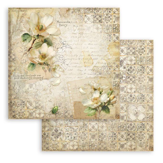 Papier scrapbooking, 10 feuilles, 30x30cm, All around  - Stamperia 