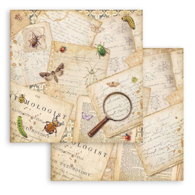 Papier scrapbooking, 10 feuilles, 30x30cm, All around  - Stamperia 