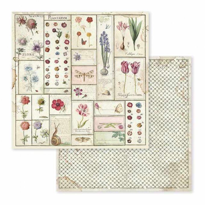 Papier scrapbooking, 30.5x30.5cm, Spring Botanic