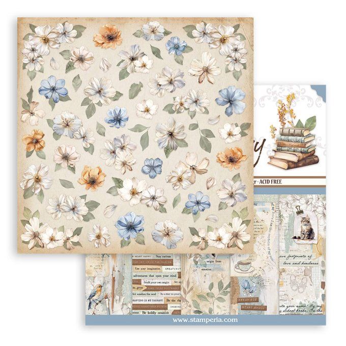 Collection Secret diary, 20x20cm - 10 feuilles motif recto verso - Stamperia