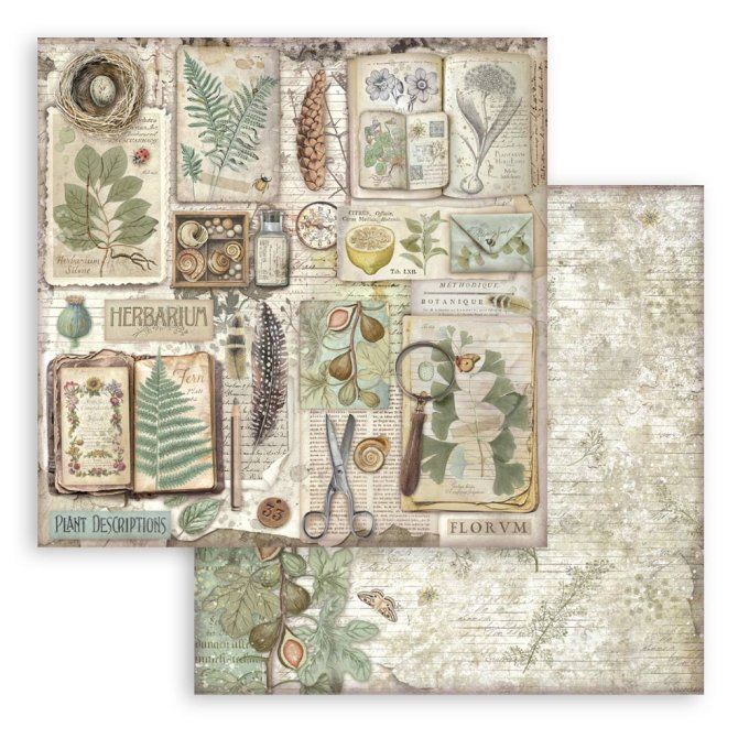 Papier scrapbooking, 20x20cm, Herbarium Silvae - Stamperia - 10 feuilles