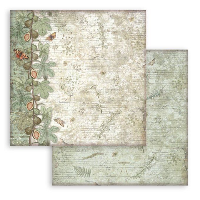 Papier scrapbooking, 20x20cm, Herbarium Silvae - Stamperia - 10 feuilles - background