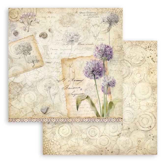 Collection All around, 20x20cm - 10 feuilles motif recto verso - Stamperia