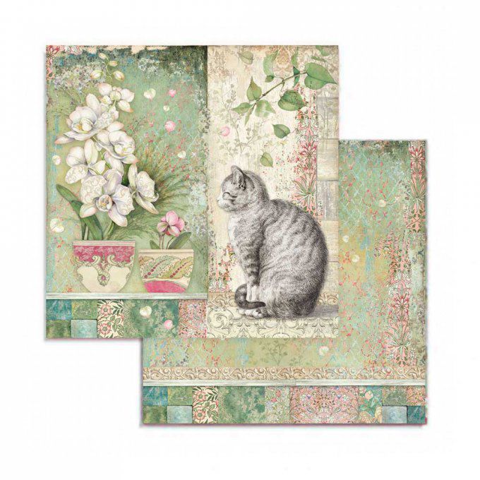 Collection Orchids and cats, 20x20cm - 10 feuilles motif recto verso - Stamperia