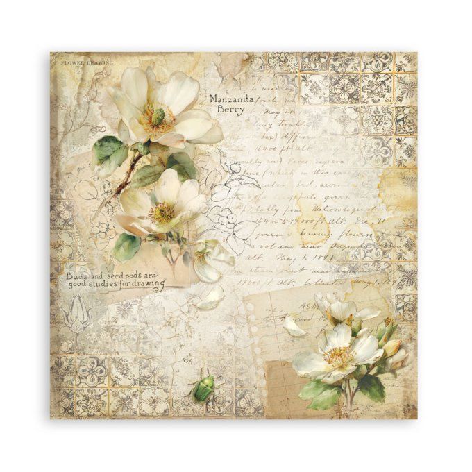 Papier scrapbooking, 20x20cm, All around - Stamperia  - 22 feuilles, motif recto