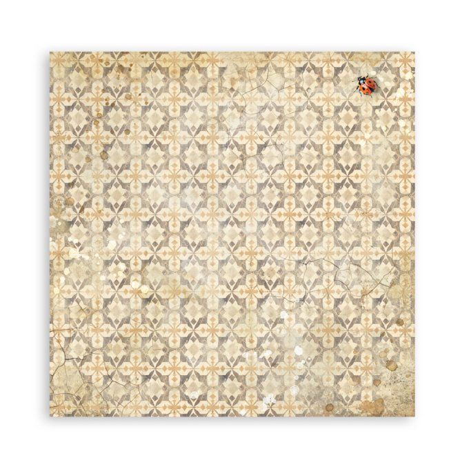 Papier scrapbooking, 20x20cm, All around - Stamperia  - 22 feuilles, motif recto