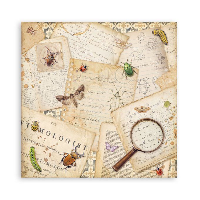 Papier scrapbooking, 20x20cm, All around - Stamperia  - 22 feuilles, motif recto