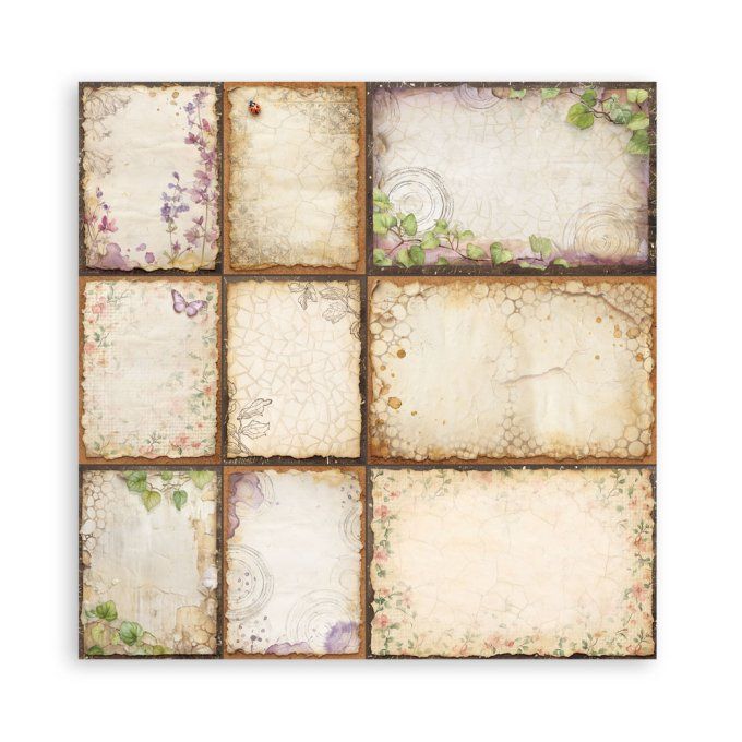 Papier scrapbooking, 30x30cm, All around  - Stamperia - 22 feuilles, motif recto 