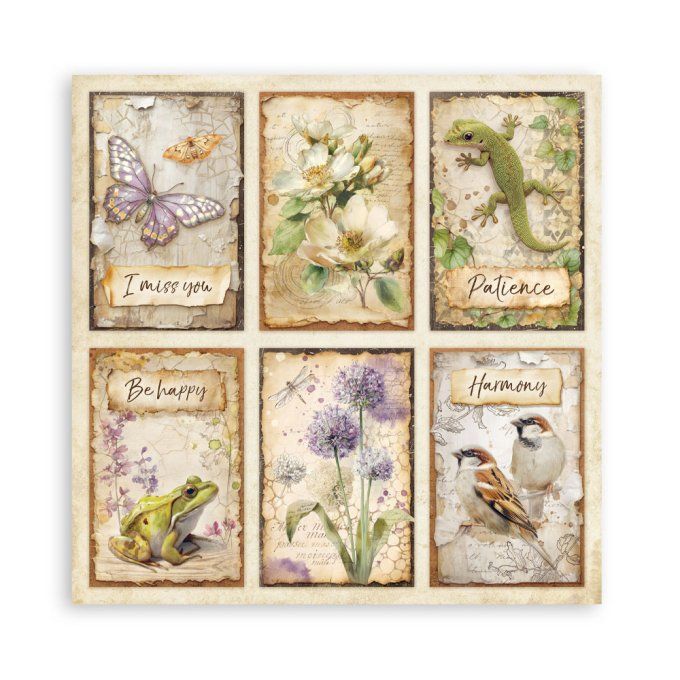 Papier scrapbooking, 30x30cm, All around  - Stamperia - 22 feuilles, motif recto 
